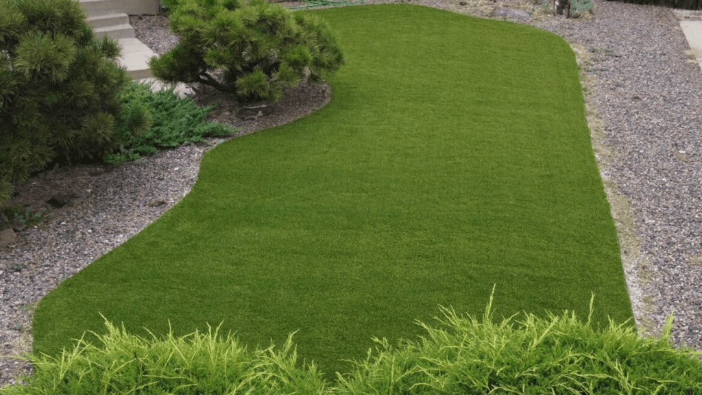 artificial grass best pet turf artificial turf Denver Colorado springs Colorado synthetic grass