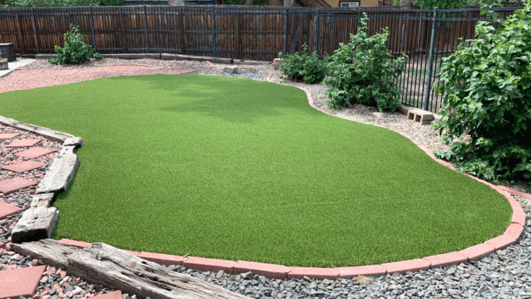 blog post best artificial turf colorado springs colorado