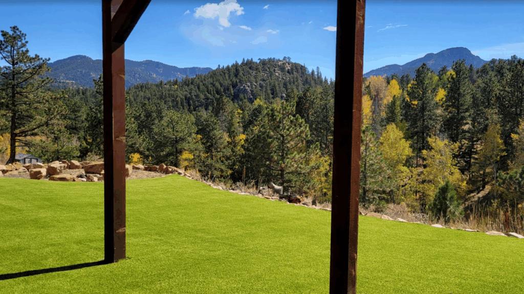 Golden Colorado Artificial Turf