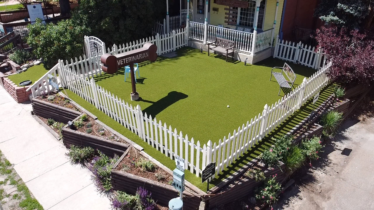 Grass365 offers synthetic grass for pets.