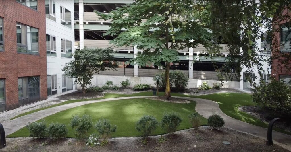 Apartment dog area pet turf Boston