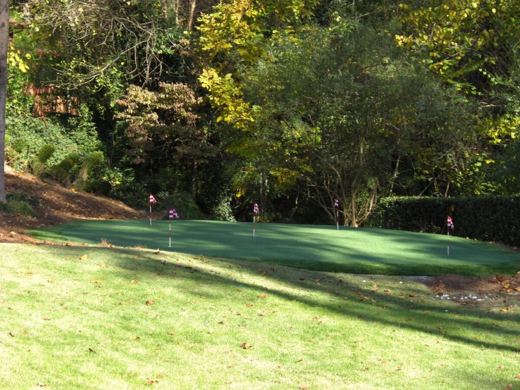 Backyard Putting Green 006