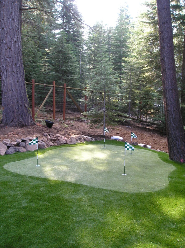 Backyard Putting Green in the Woods