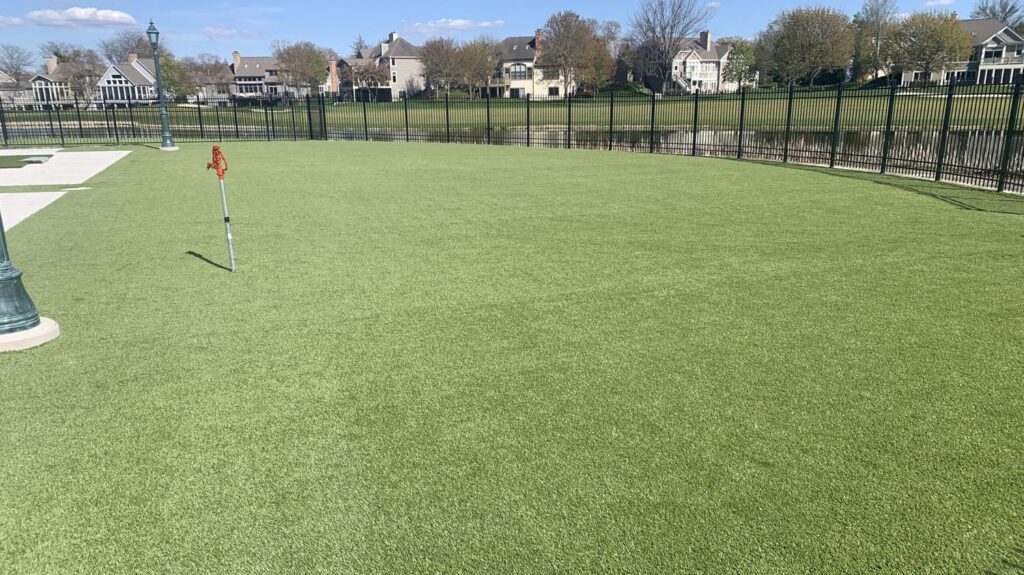 Pet Grass Scottsdale